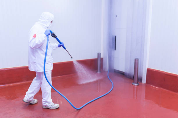 Best Roof Washing  in Lauderhill, FL